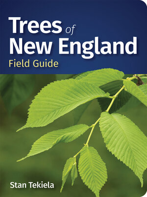 cover image of Trees of New England Field Guide